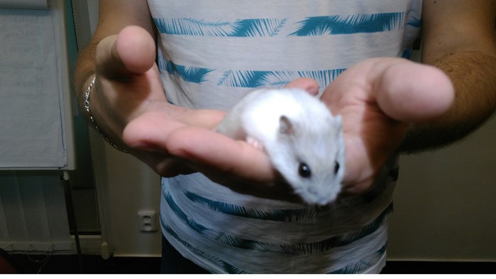 Koľko správnych výsledkov predpovie najnovší člen rodiny televízie Markíza?