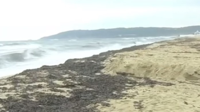 Pláž v letovisku Saint-Tropez znečistená naftou.