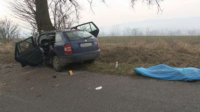 Auto narazilo do stromu