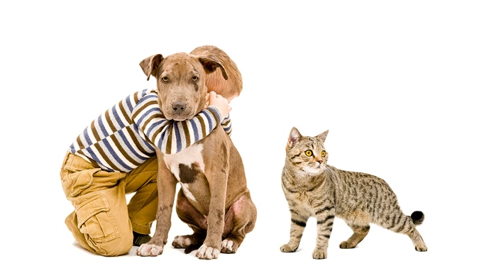 shutterstock_367609610.jpg
