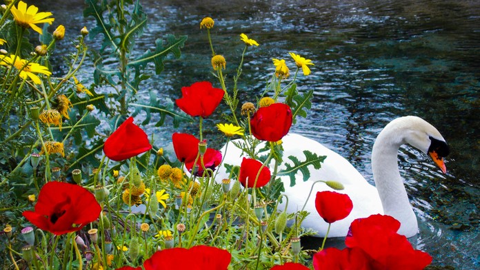 Ilustračná snímka. 