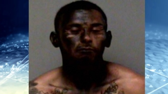 19_prefarbil saweb_jpg_bez_watermarku_1.jpg