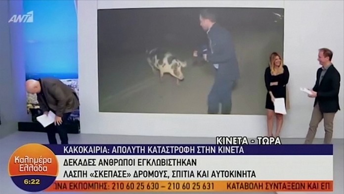 Škola bez nenávisti