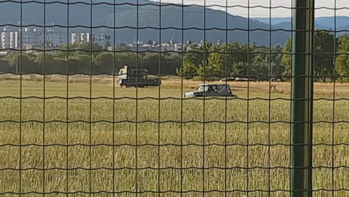 Nevidiaca Romana je na ulici. Na Rumuna, ktorý ju týral, sme zavolali políciu