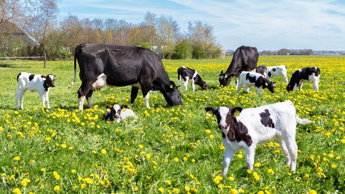 Ilustračná snímka