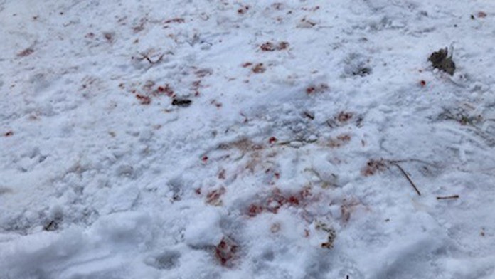 Stopy krvi po brutálnom útoku v obci Cígeľ.