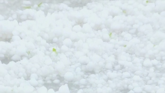 Krupy - ilustračná snímka.