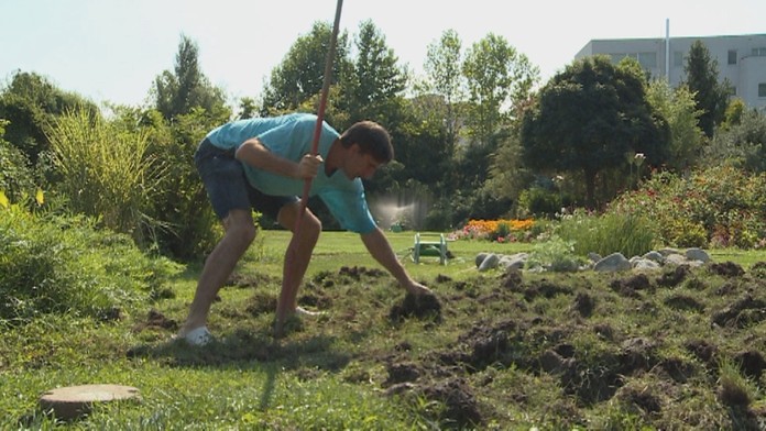 Spúšť v botanickej záhrade.