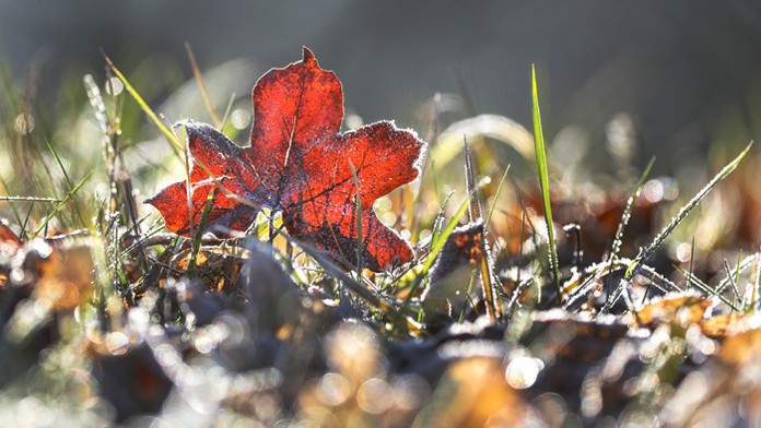 Prezidentka Zuzana Čaputová na summite lídrov členských krajín NATO v anglickom Watforde. 