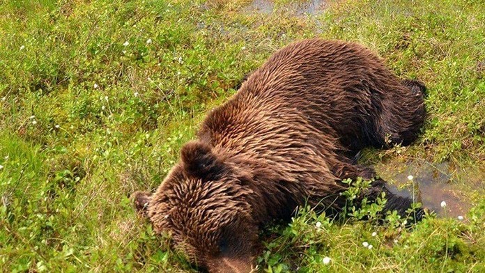 Ilustračná snímka.