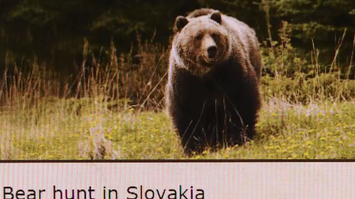 Inzerát na medveďa