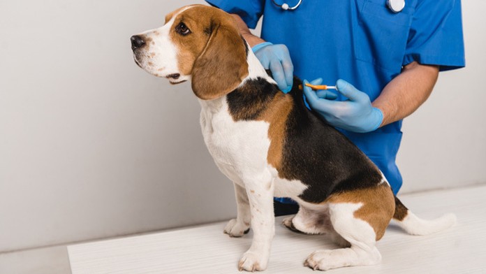 Blake (vpravo) s bratmi.