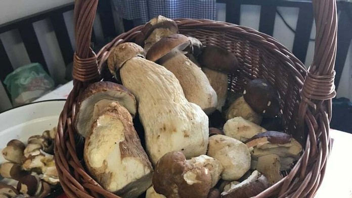 Výstrahy pred dažďom.