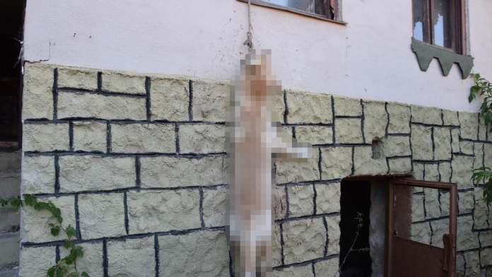 Pes chcel ujsť, pri skoku sa obesil.