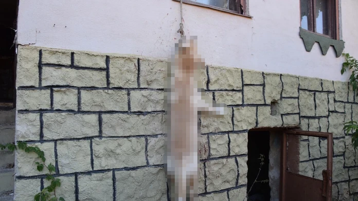 Pes chcel ujsť, pri skoku sa obesil.