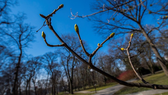 V pondelok sa začína jar. Až do mája bude každý nasledujúci deň o vyše tri minúty dlhší