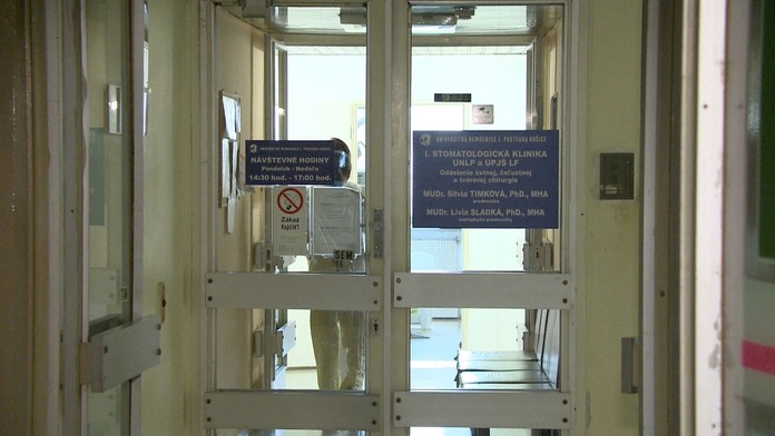 Hilaria Baldwin so svojimi deťmi