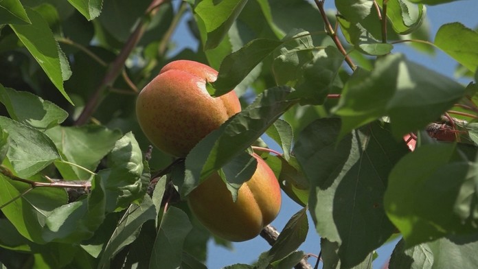 Ilustračná snímka.