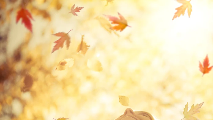 shutterstock_151779557.jpg