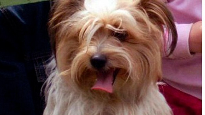 Malá Tori nemala šancu prežiť.