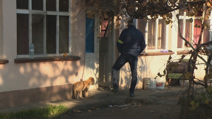 Zachránený psík z domu v Šarovciach.