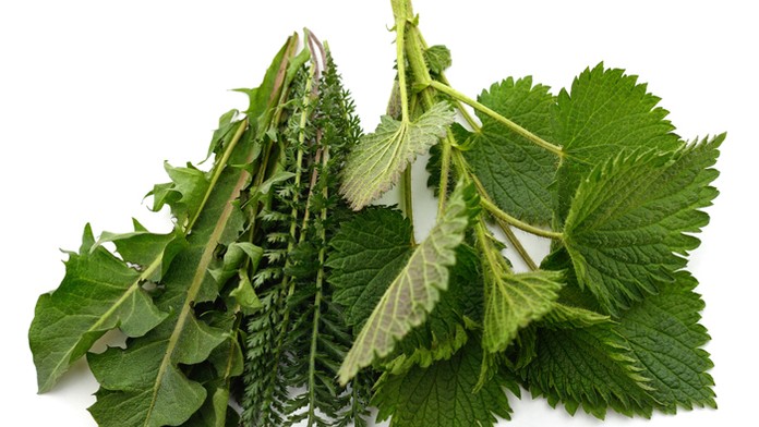 Ilustračná snímka