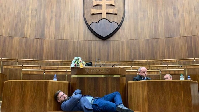 Dve krabice plné šteniat neapolského mastiffa. 