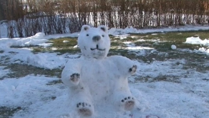 17 SN Ochranca zo snehu.transferweb_jpg_bez_watermarku_1.jpg