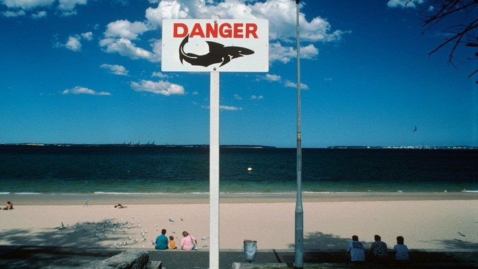 V obľúbenej dovolenkovej destinácii Slovákov útočil žralok: Zabil turistu, druhého zranil