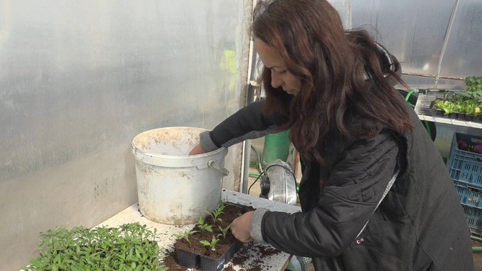 Zdá sa, že je skoro, no opak je pravdou. Záhradkári sa už starajú o zasadenú zeleninu