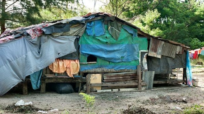 Rodina Colt, incest.