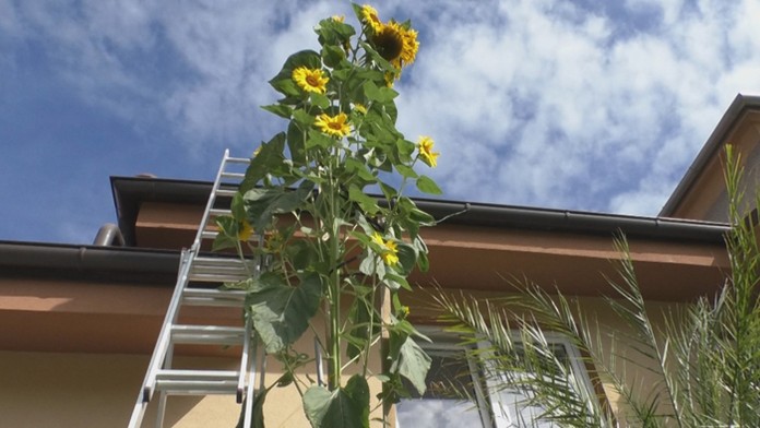 Ilustračná snímka.