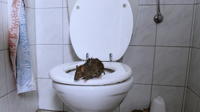 Ilustračná snímka