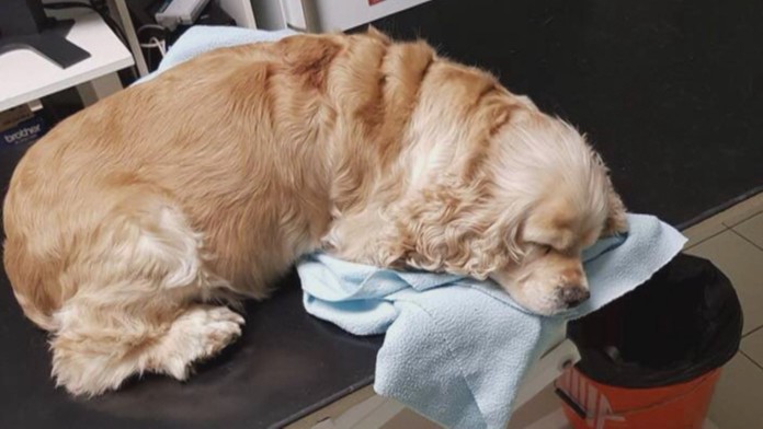 Olympijský štadión.