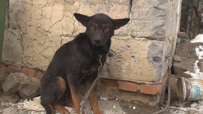 Ilustračná snímka.