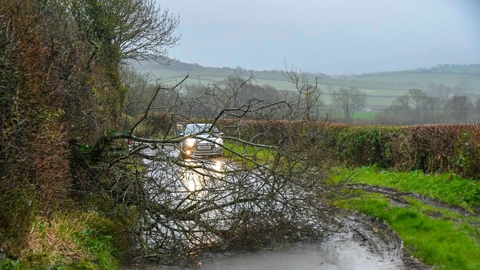 Tragická Veľká noc na poľskej strane Tatier. Padajúce stromy spôsobili tri fatálne incidenty s piatimi obeťami