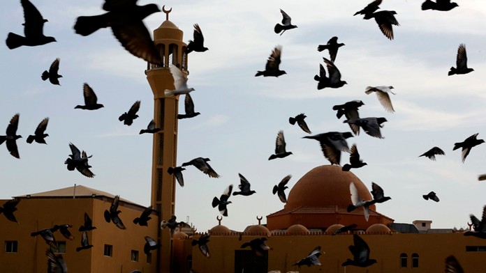 príprava na duel.mp4