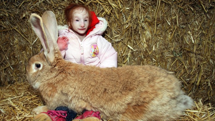 Najmensie dievcatko a maxi králik.