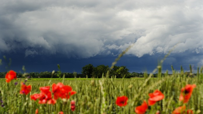 Víkend prinesie búrky s prudkým lejakom. Čakajte ich najmä v týchto oblastiach Slovenska