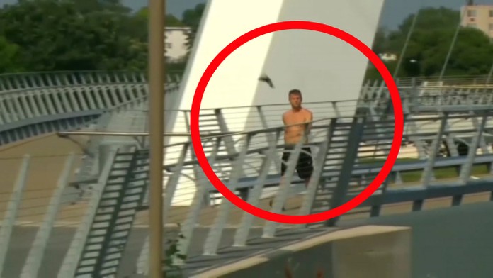 19 ZAHR Agresivny vtak.jpg