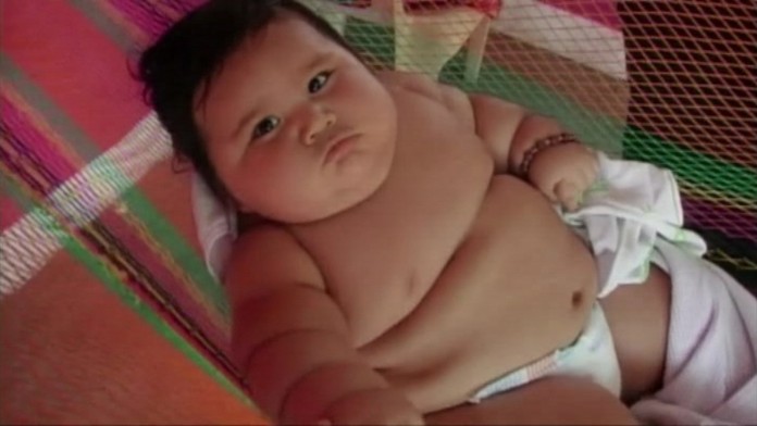 19 ZAHR Maly valibuk.transferweb_jpg_bez_watermarku_1.jpg