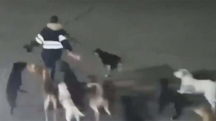 bafta_markiza_sk_bez_loga.mp4