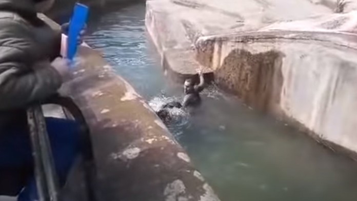 Ruská sestrička Nadia