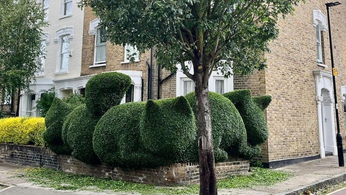 Architekt využíva svoje schopnosti netradičným spôsobom: Jeho kreativita v záhrade vás prekvapí