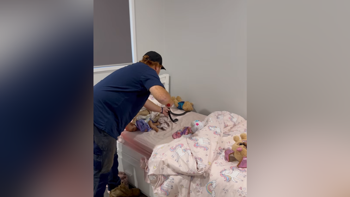VIDEO: Jedovatého hada našli v detskej postieľke. Skryl sa medzi hračky