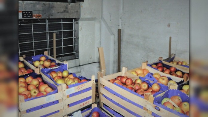 Braden Holtby z Washingtonu v dueli proti San Jose.