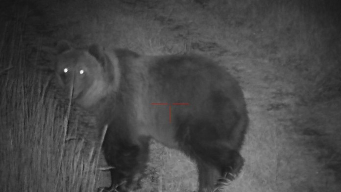 Ilustračná snímka.