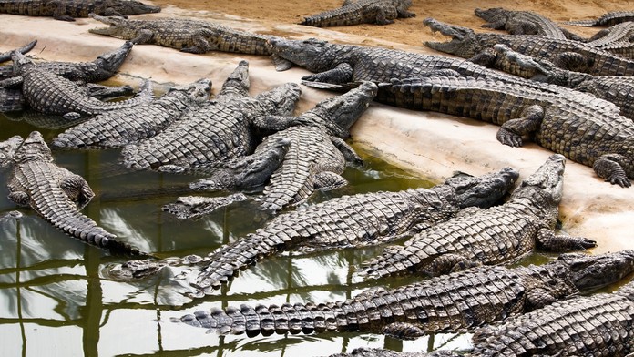 Adam Liška počas tréningu hokejovej reprezentácie.