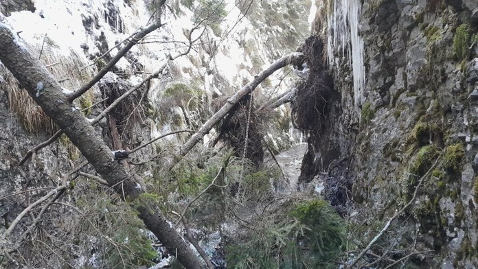 Zosuv svahu v Slovenskom raji