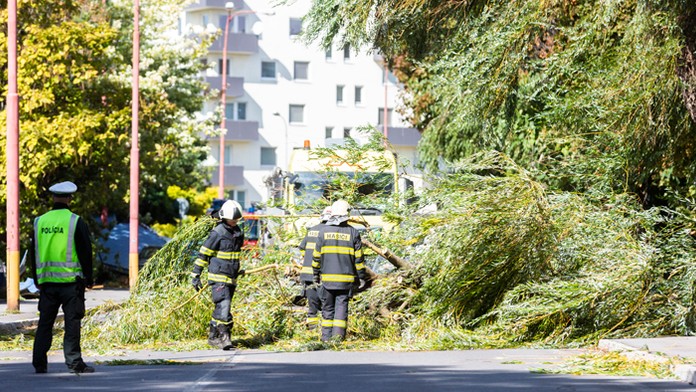 0610_Tvoja_tvar_znie_povedome_06_10_P40_Ne_20_30__12.mp4